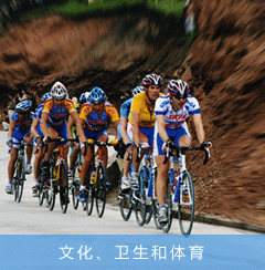文化、衛(wèi)生和體育